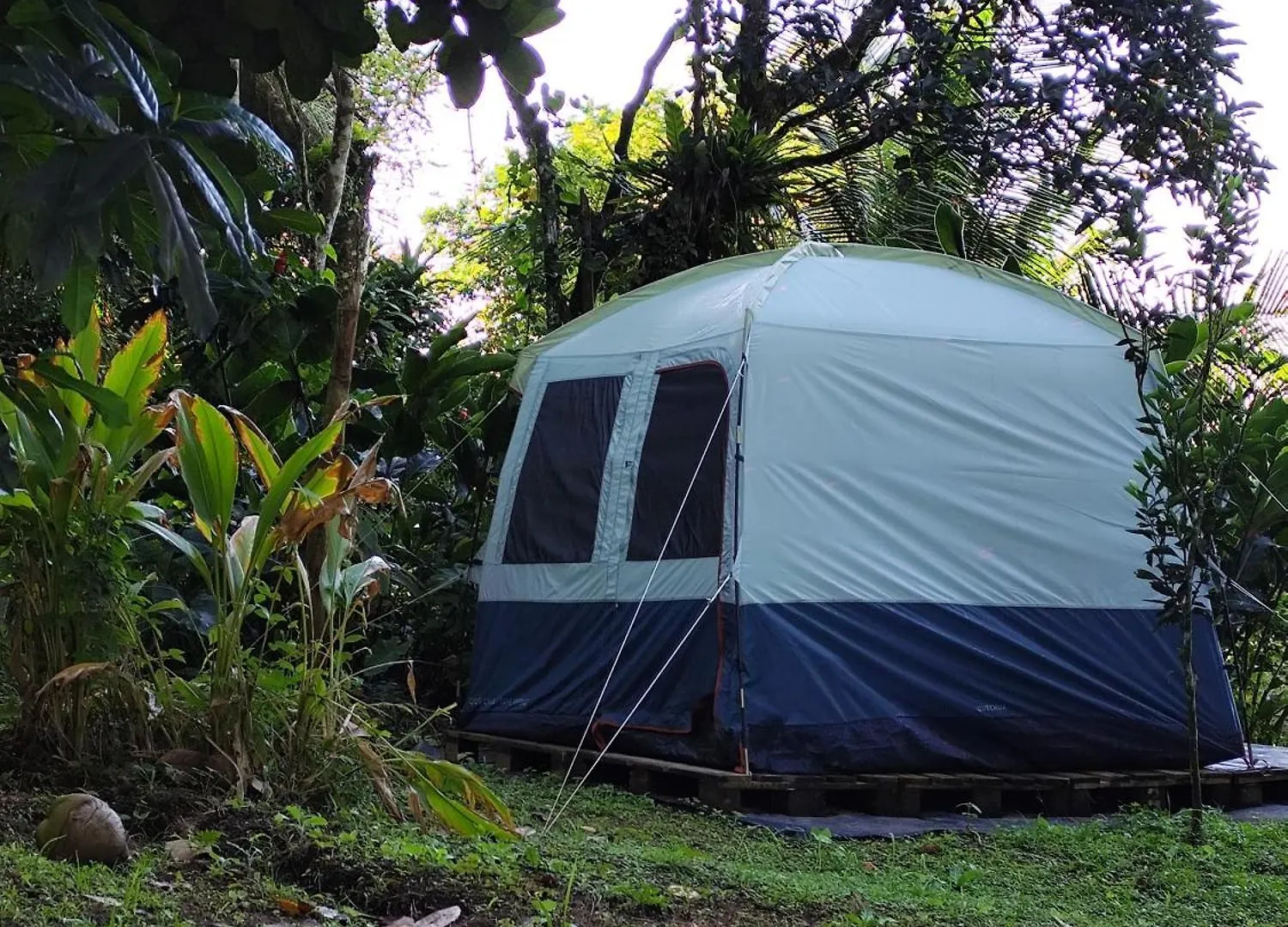 Kemp Camping A La Ferme Gros-Morne Martinik
